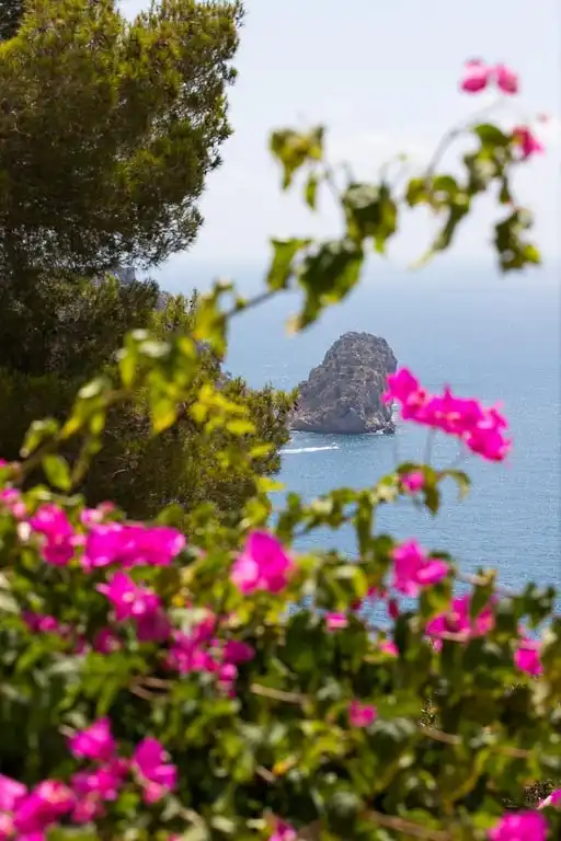 Jardín de Casa o chalet de alquiler en Jávea / Xàbia con Aire acondicionado, Piscina y Amueblado