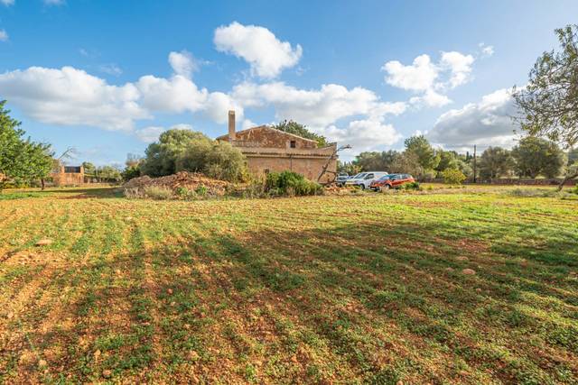 Finca rústica en Venta en L'Olivera