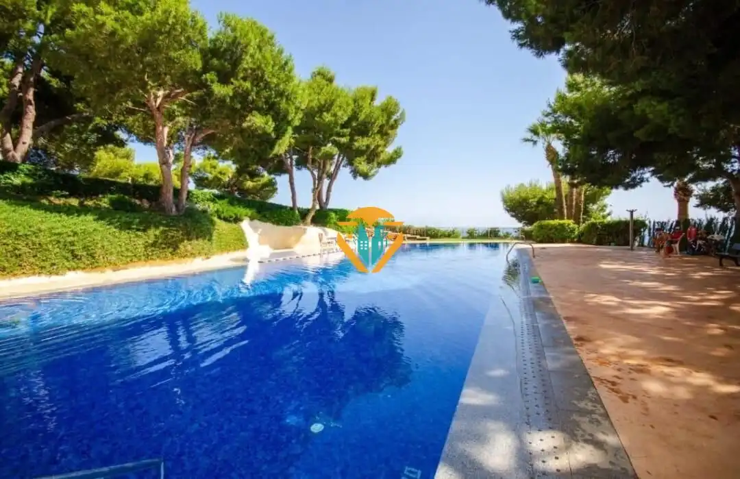 Swimming pool of Flat for sale in Benidorm  with Terrace, Storage room and Furnished