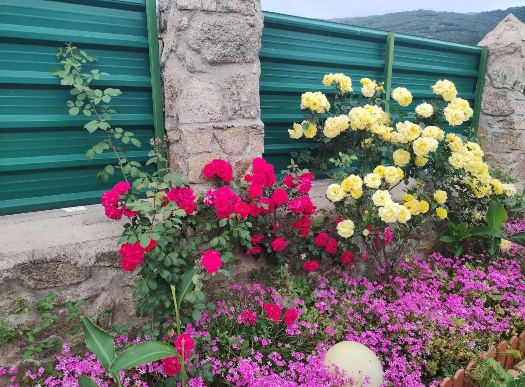 Jardín de Finca rústica en venta en Cabrero con Jardín privado y Piscina