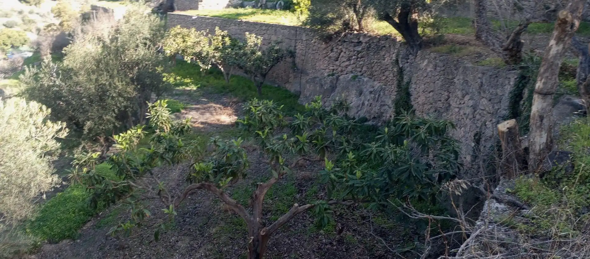 Casa rústica amb jardí en venda a Vélez de Benaudalla, imagen 15