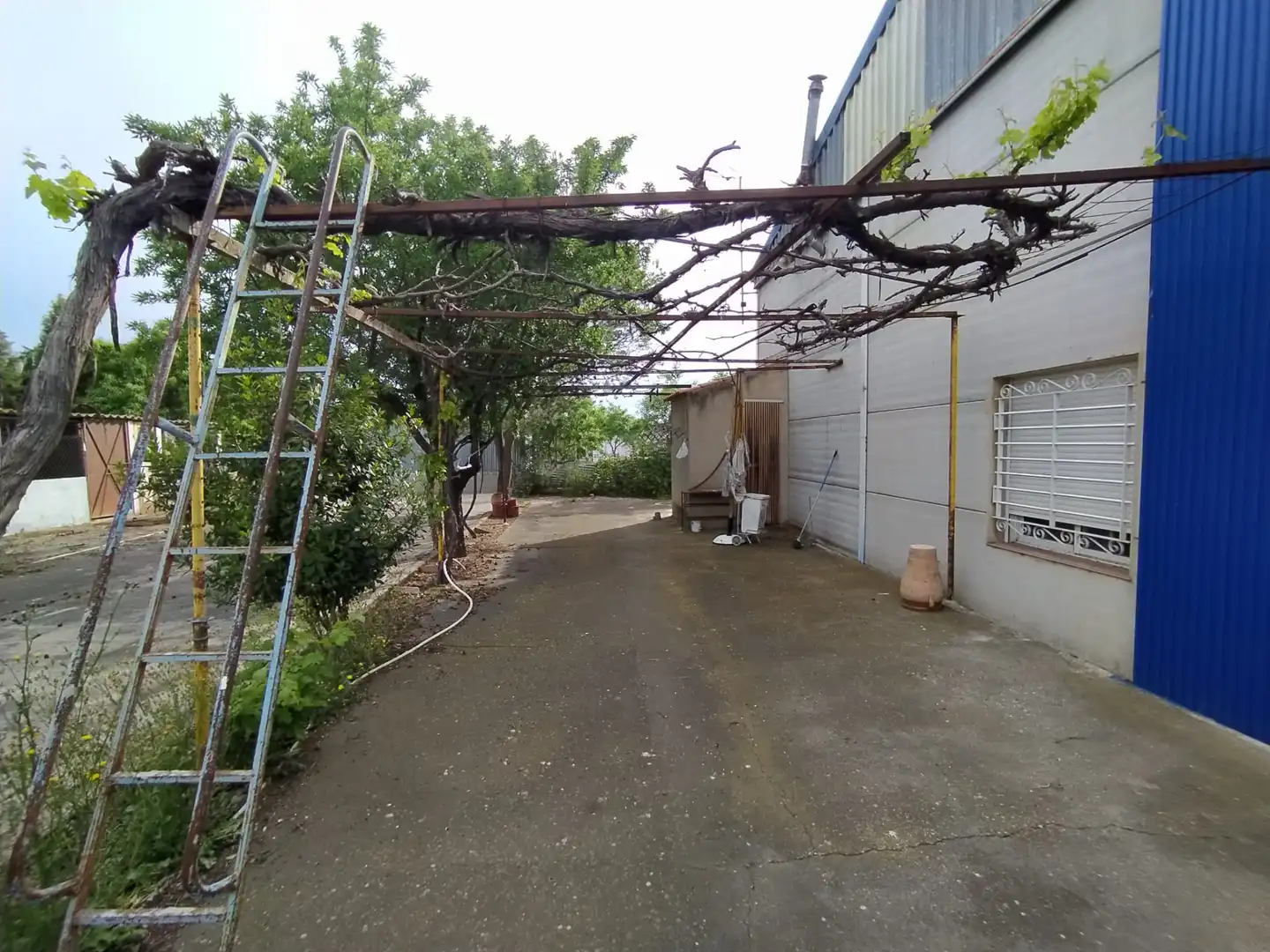 Finca rústica en venta en San Pablo
