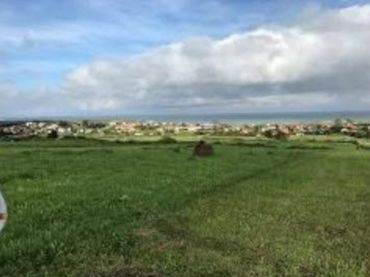 Terreno rustico in vendita a Monte