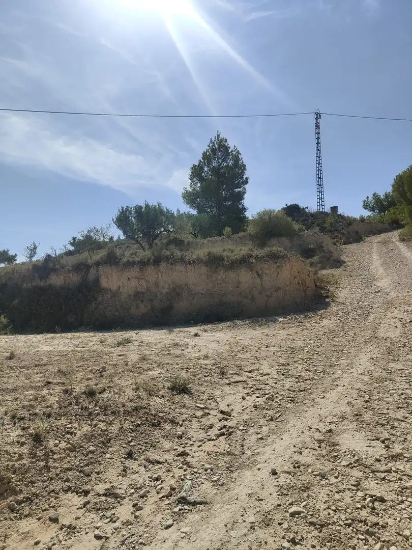 Terreny residencial en venda a Tibi