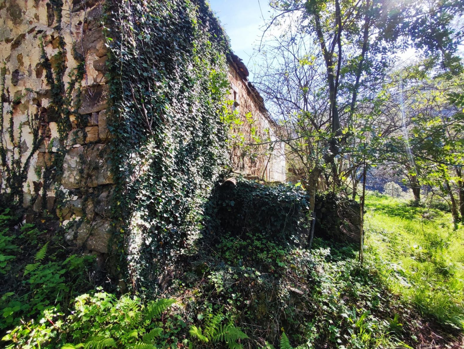 Jardín de Casa o chalet en venta en Selaya con Jardín privado