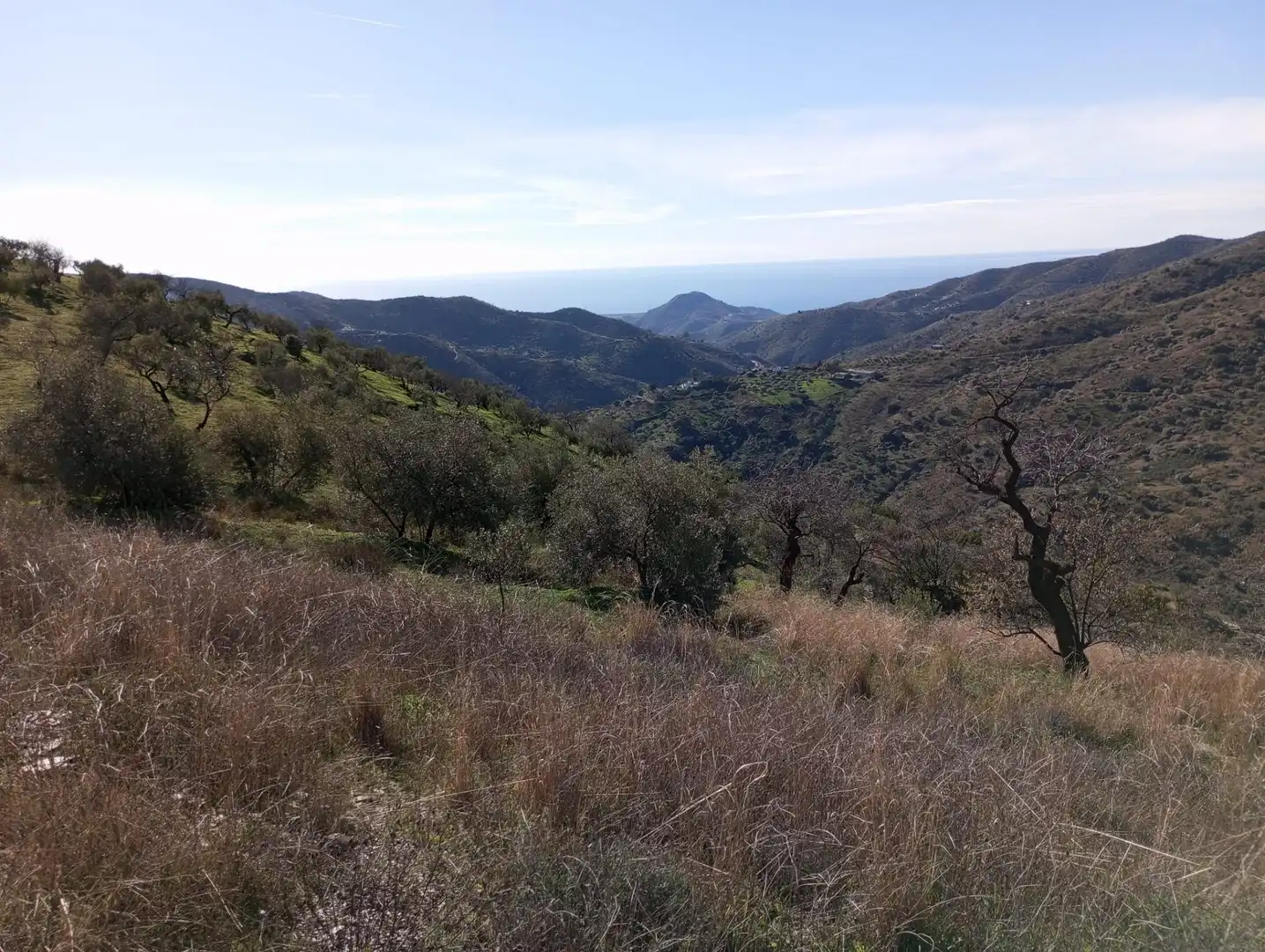 Exterior view of Land for sale in Málaga