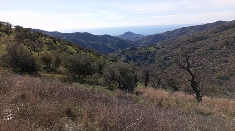 Photo 2 of Land for sale in Camino Camino Totalán, Jarazmín, Málaga Capital