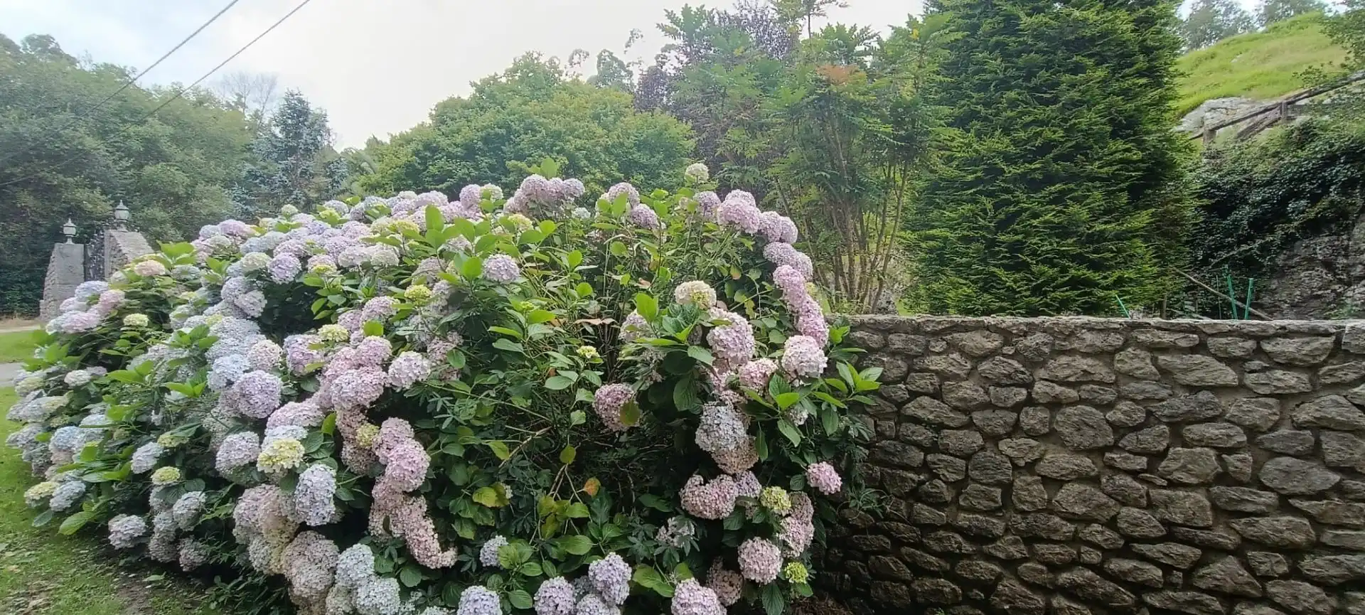 Jardí de Finca rústica en venda en Llanes amb Jardí privat