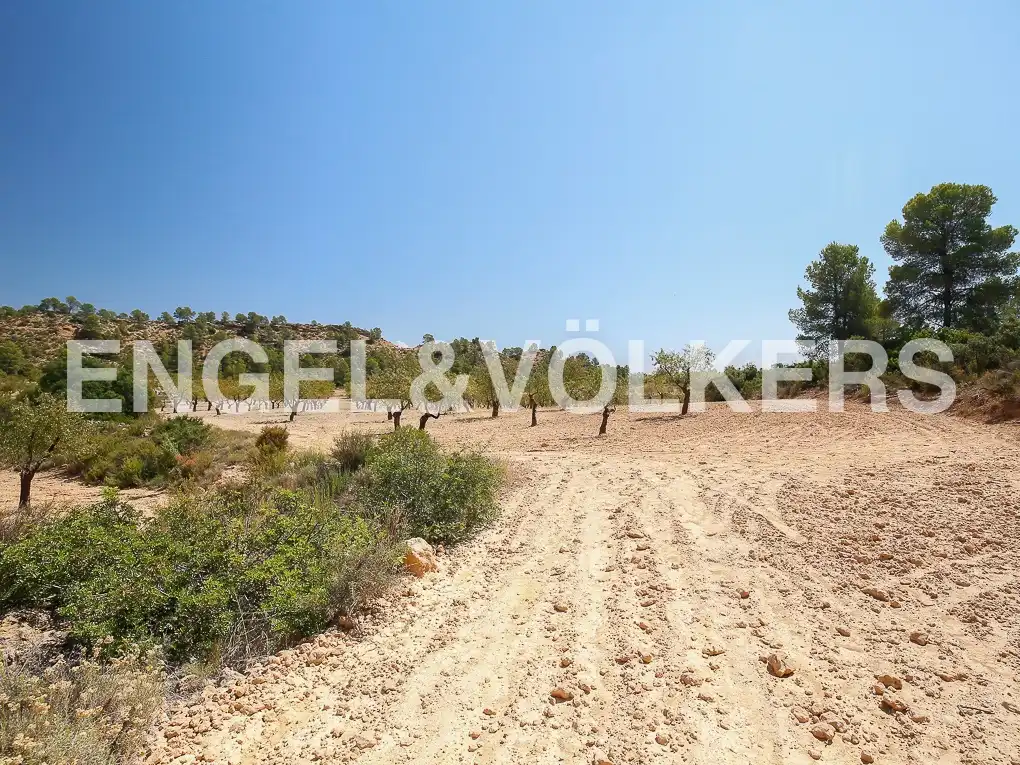 Finca rústica en venda a Requena