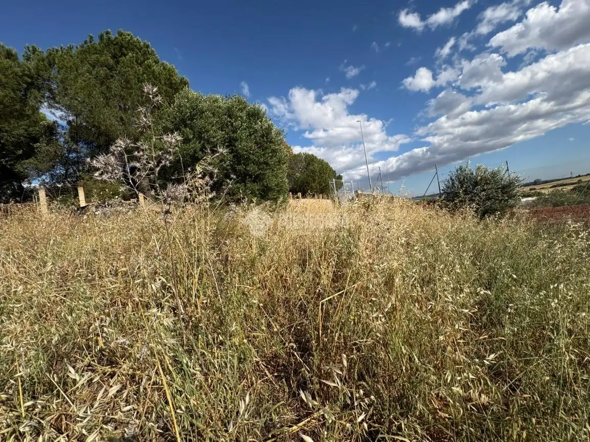 Terreny residencial en venda a Sanlúcar la Mayor, imagen 18