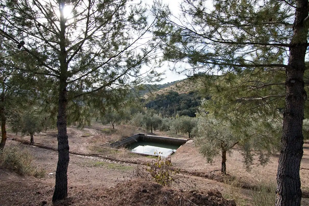 Jardí de Finca rústica en venda en Loja