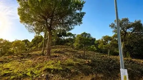 Wohnbaugrundstück zum Verkauf in Lloret Verd - Els Pinars