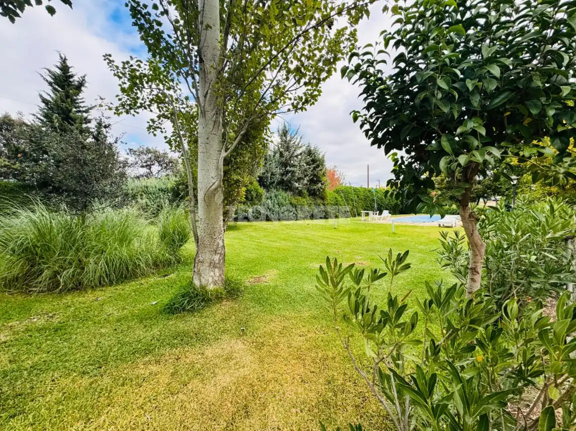 Jardí de Casa o xalet en venda en San Román de los Montes