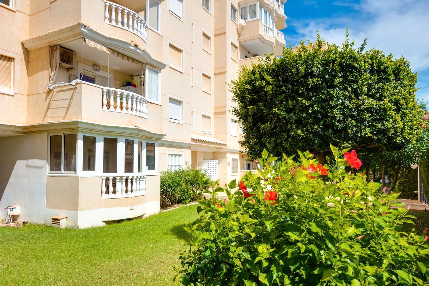 Vista exterior de Pis en venda en Torrevieja amb Aire condicionat, Terrassa i Moblat