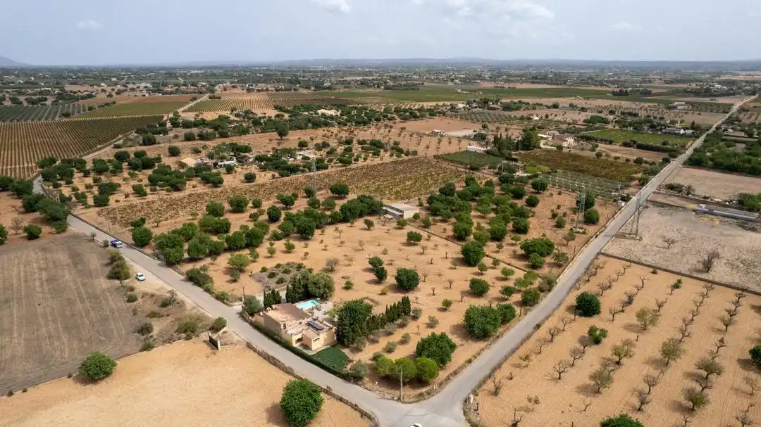 Land for sale in Consell