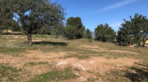 Foto 3 de Residencial en venda a Núcleo Urbano, La Pobla de Vallbona