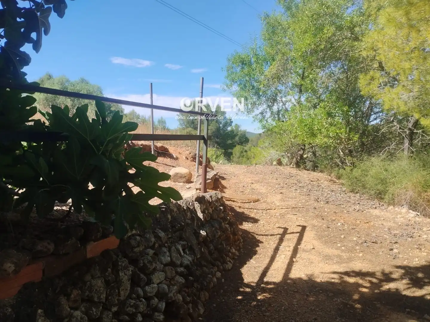 Rural land for sale in Carretera T-240 s/n, imagen 7