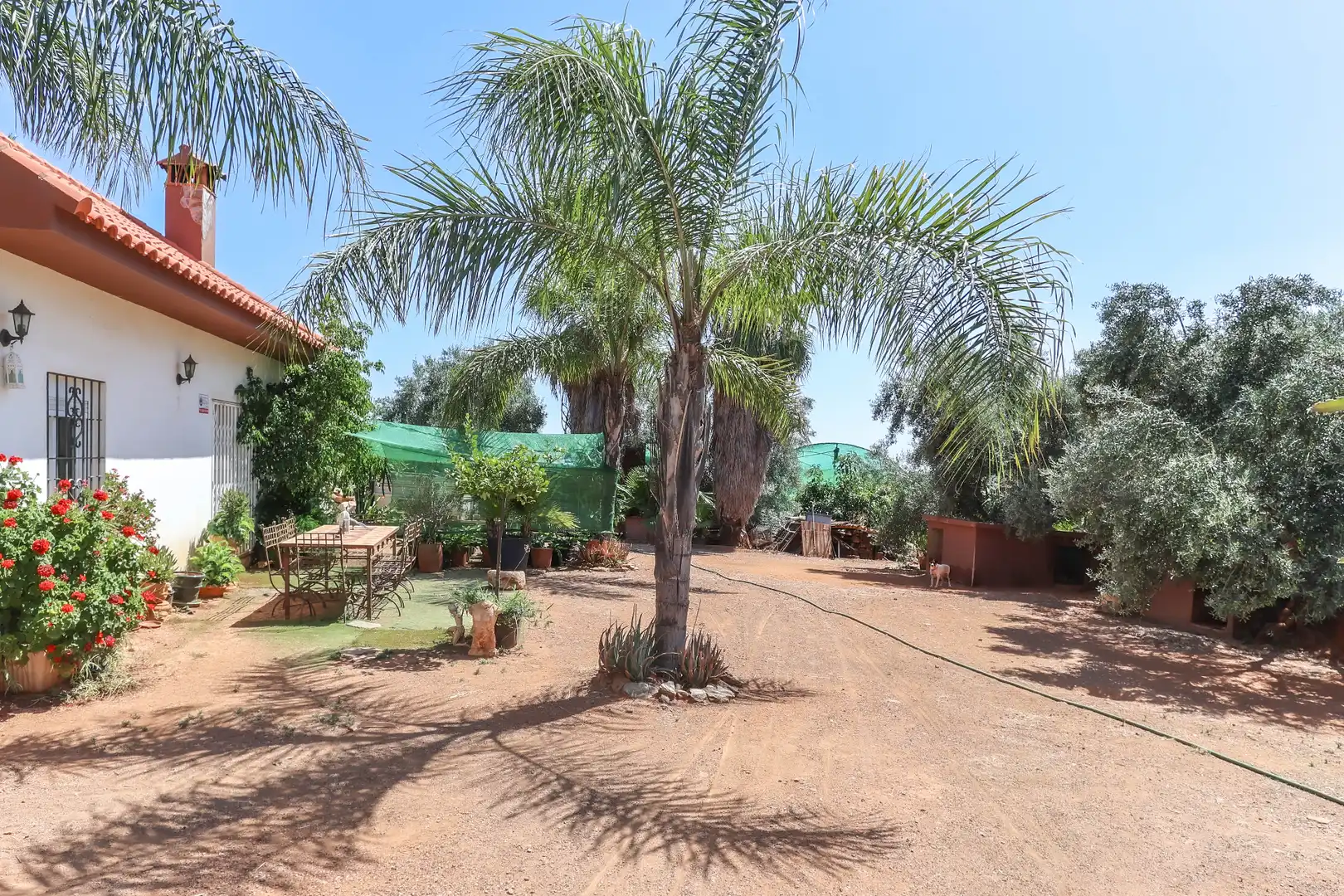 Casa en venda a Diseminado Poligono, imagen 17