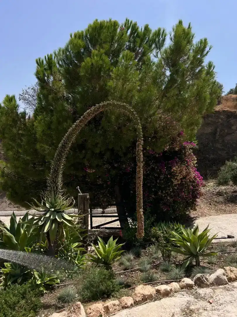 Garten von Country house zur Miete in Alozaina mit Klimaanlage, Privatgarten und Abstellraum