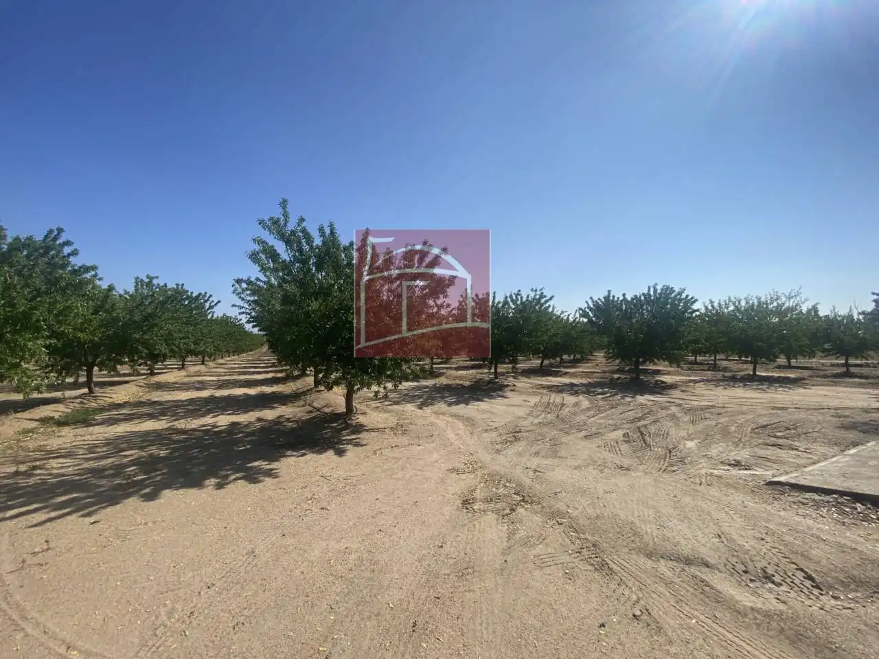 Terreni e lotti in vendita a Villanueva de la Serena, imagen 2