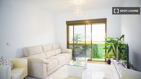 Foto 4 von Zimmer in Alfalfa - Santa Cruz, Sevilla Capital
