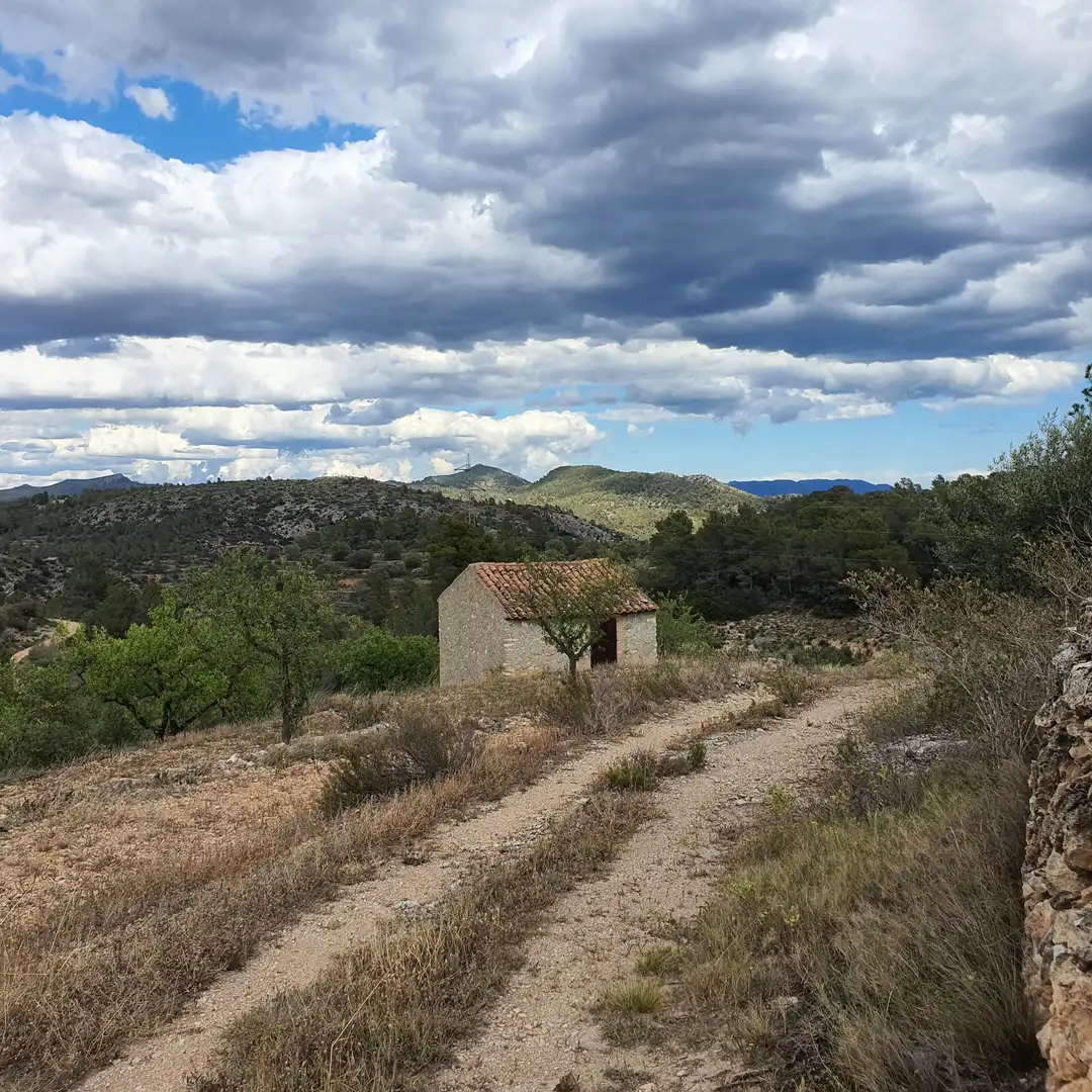 Rural land for sale in El Pinell de Brai, imagen 6
