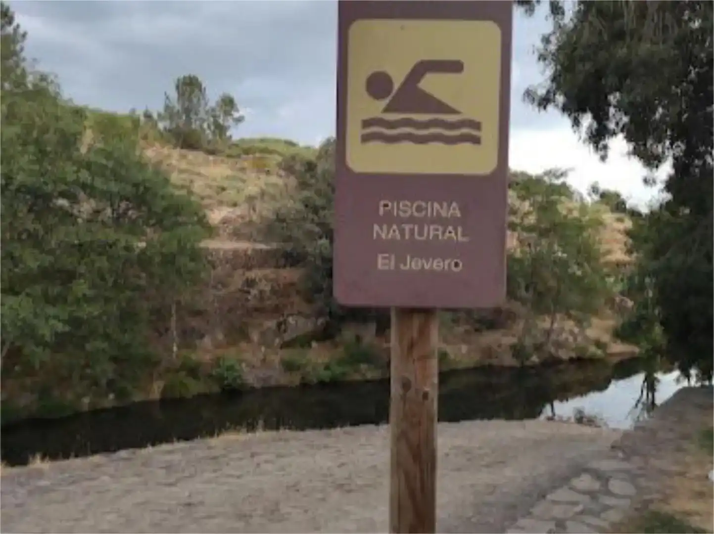 Piscina de Residencial en venta en Acebo