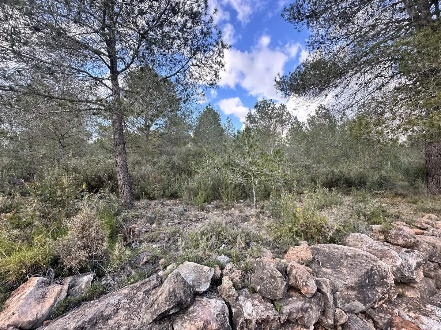 Terrenos y solares en venta en Alfara de la Baronia, imagen 9