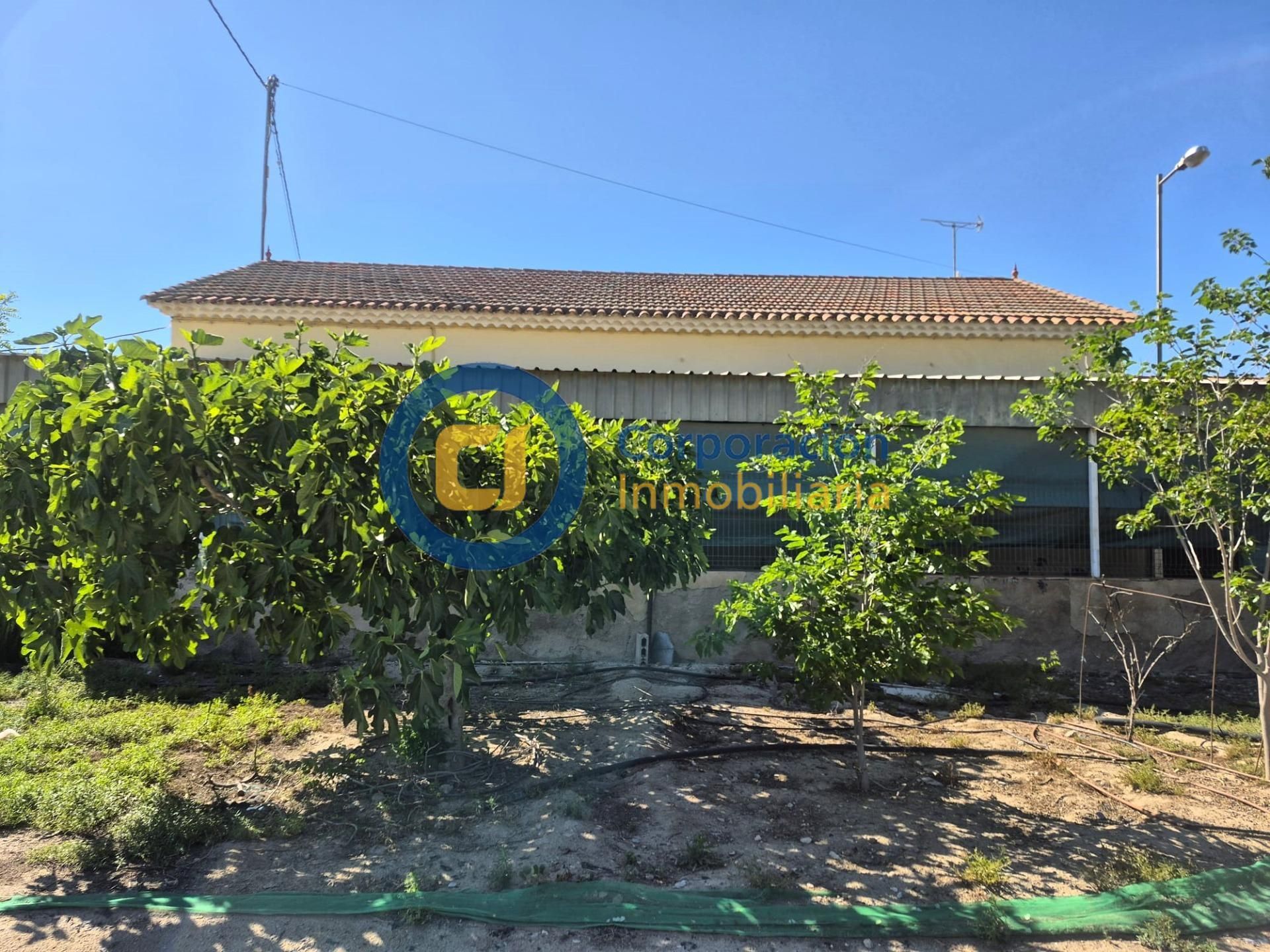 Vista exterior de Finca rústica en venta en Lorca con Jardín privado y Trastero