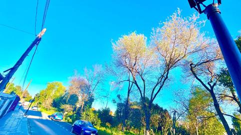 Foto 4 de Residencial en venda a  Vicario, Avenida Juan Diego, Sevilla