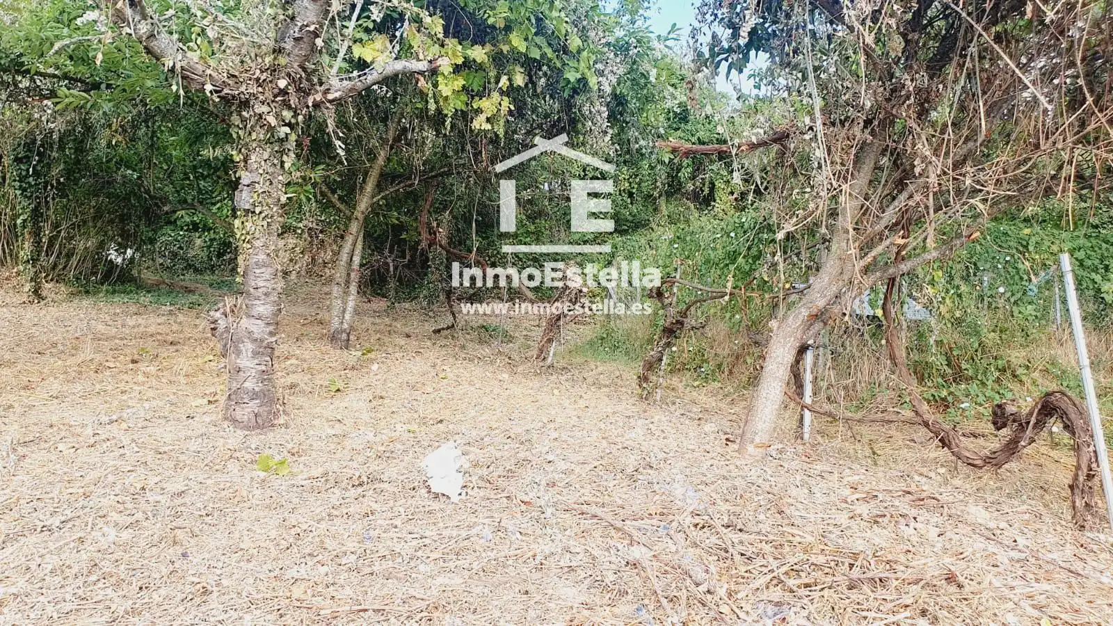 Rural land for sale in Zuloandia, imagen 5