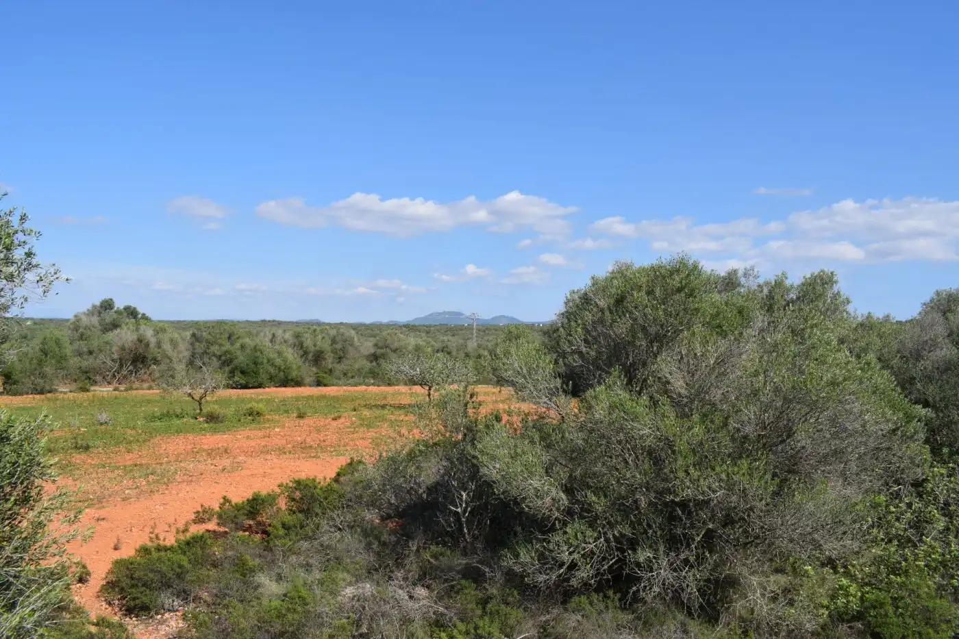 Casa o chalet en venta en Campos con Calefacción, Terraza y Trastero