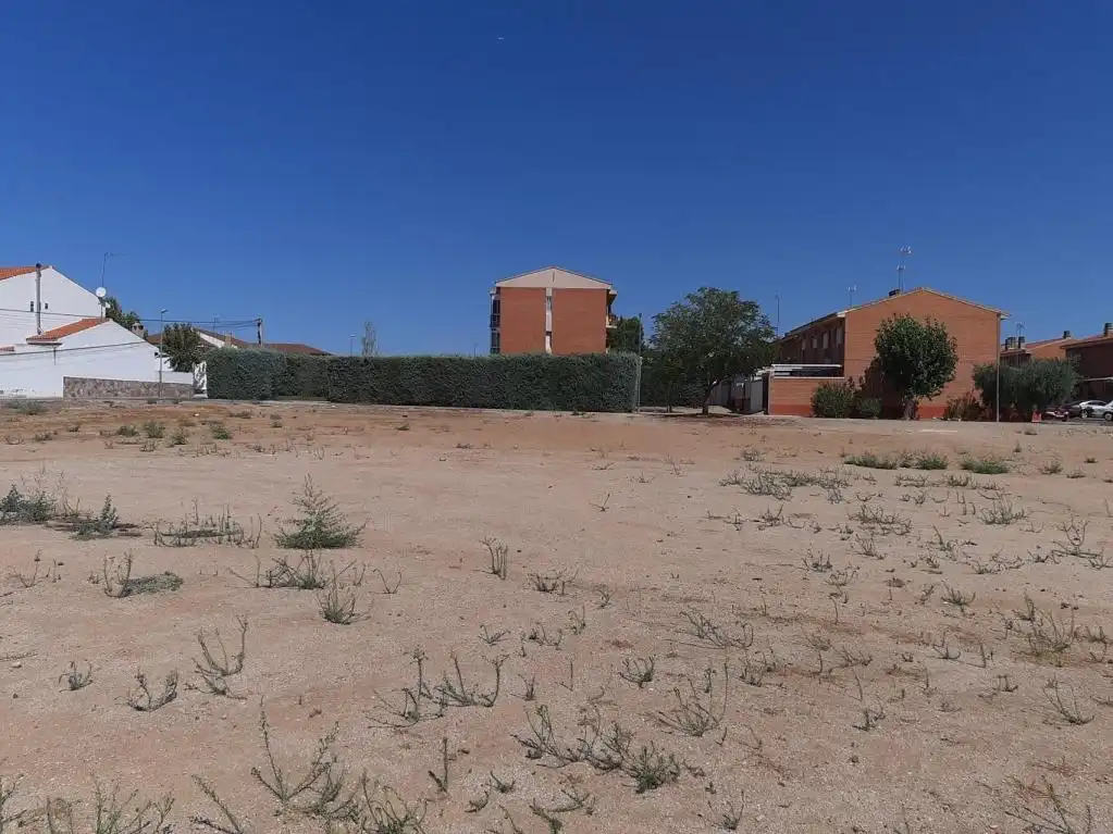 Terreno rustico in vendita a VELAZQUEZ, imagen 3