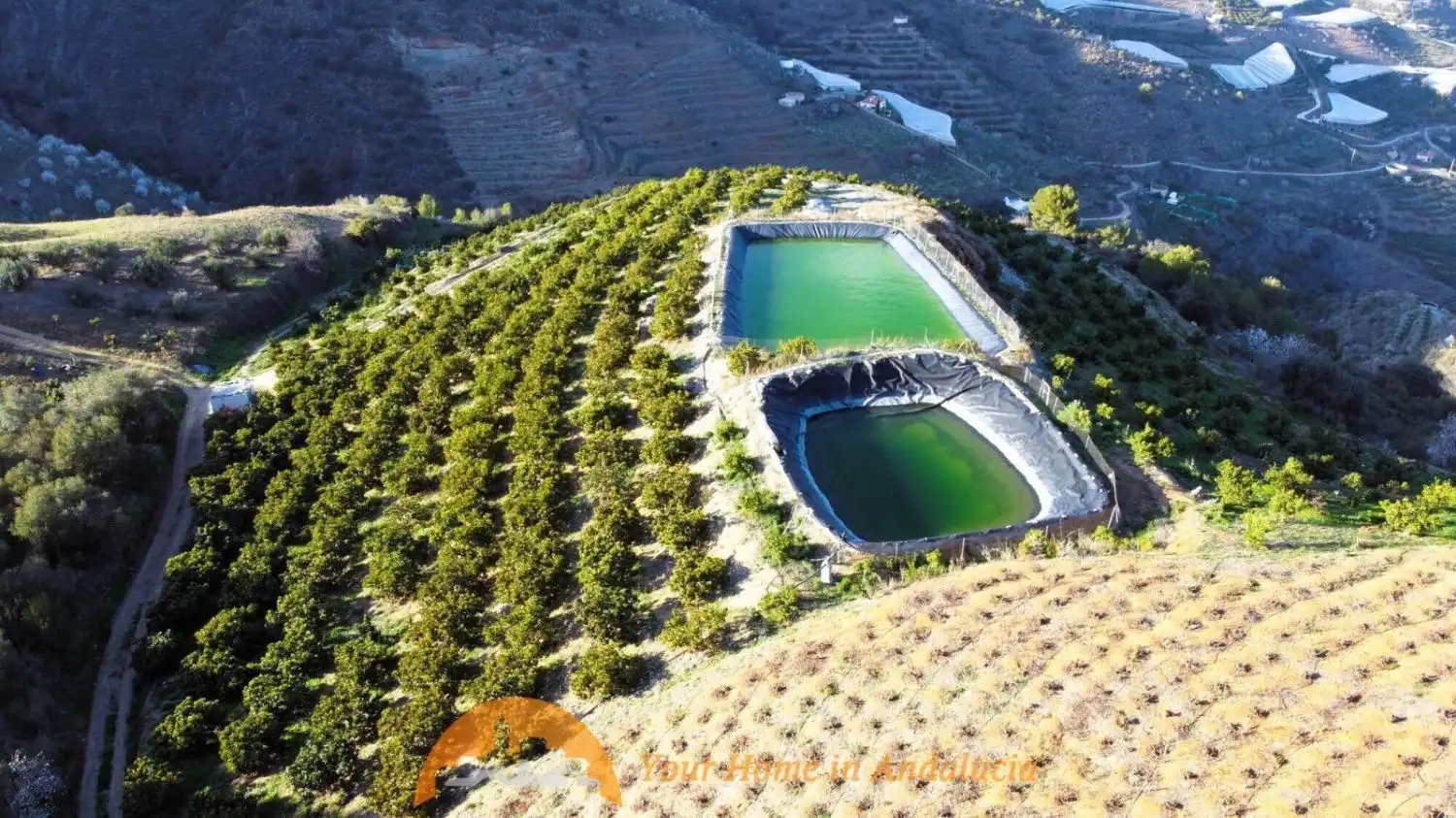 Casa rústica en venda a PARAJE CRUDO ITRABO, imagen 5