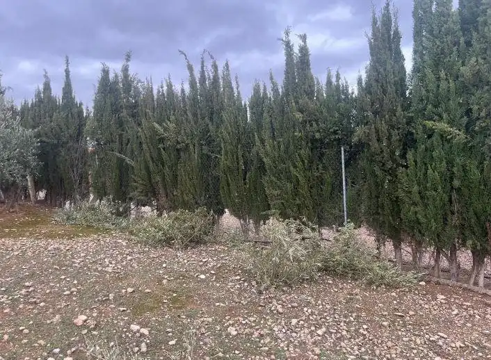 Casa en venta en Cerro Molina, imagen 3