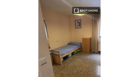 Foto 2 de Habitación en Arrabal, Zaragoza Capital