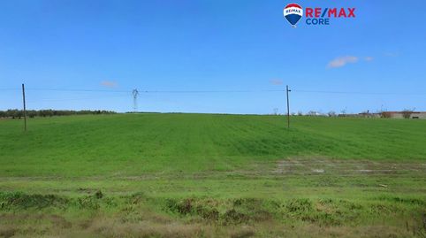 Foto 4 de Terreno en venta en Este, Mérida
