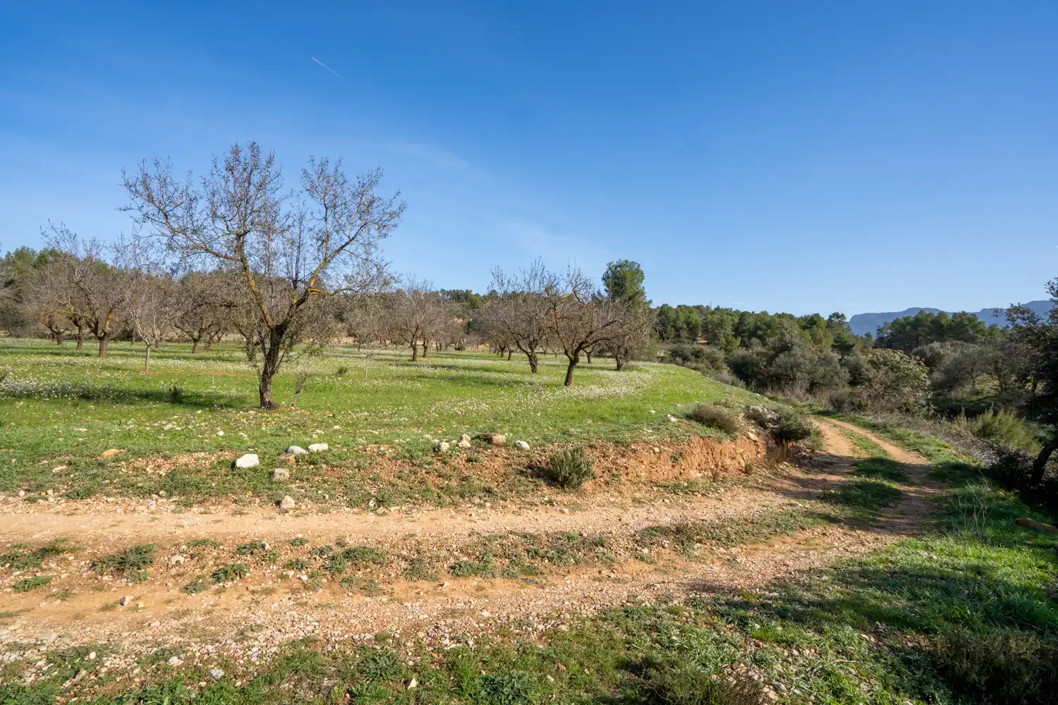 Rural land for sale in Horta de Sant Joan, imagen 8