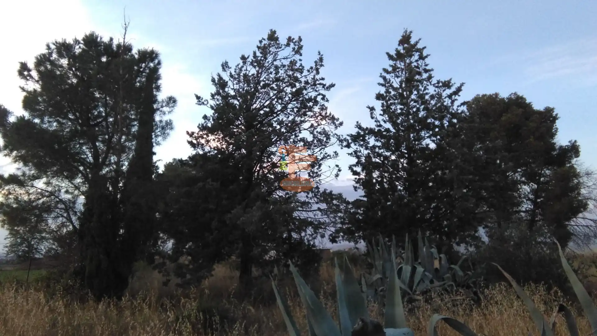 Jardín de Terreno en venta en Zaragoza