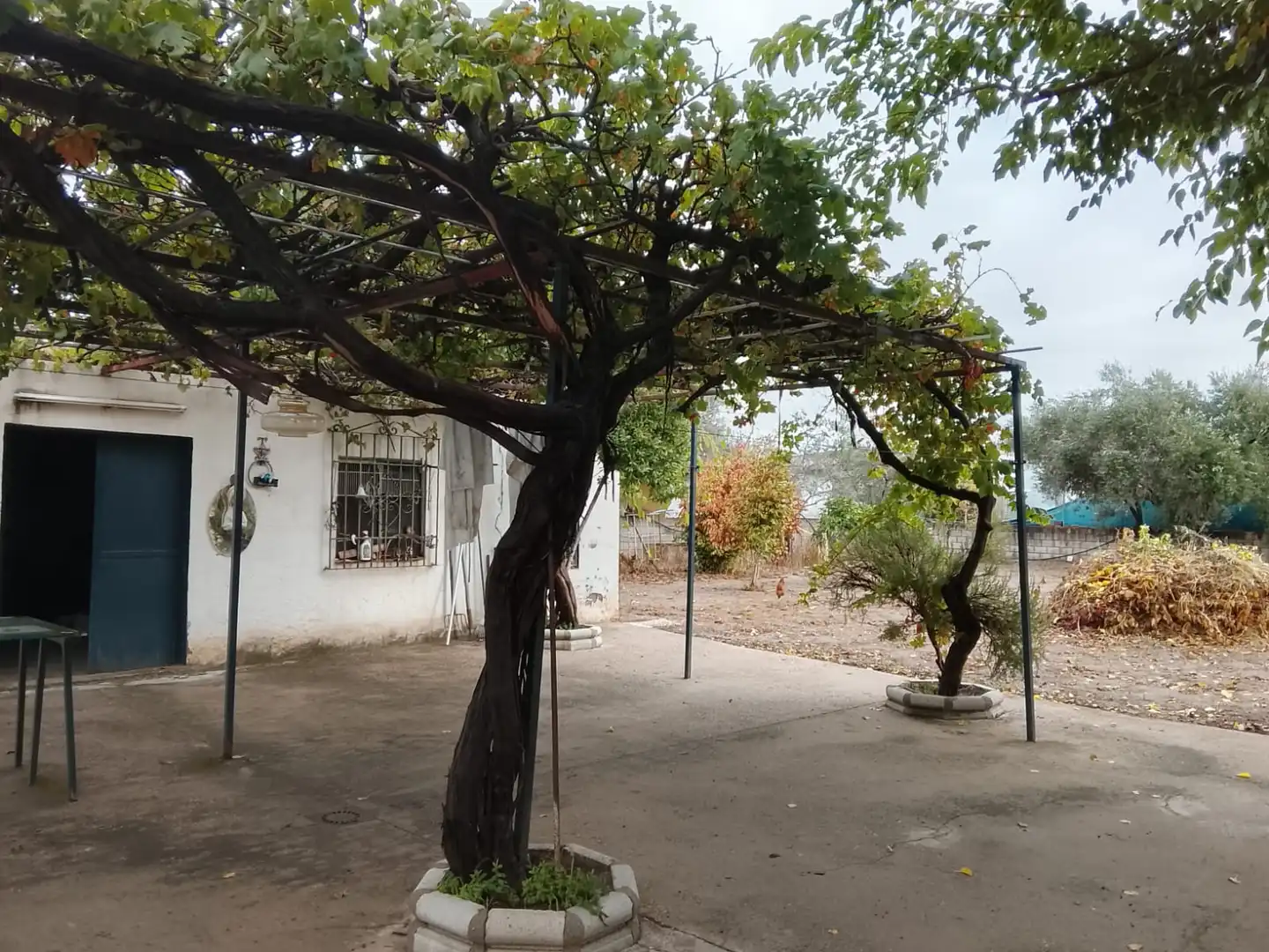Jardí de Finca rústica en venda en Córdoba amb Aire condicionat, Calefacció i Jardí privat