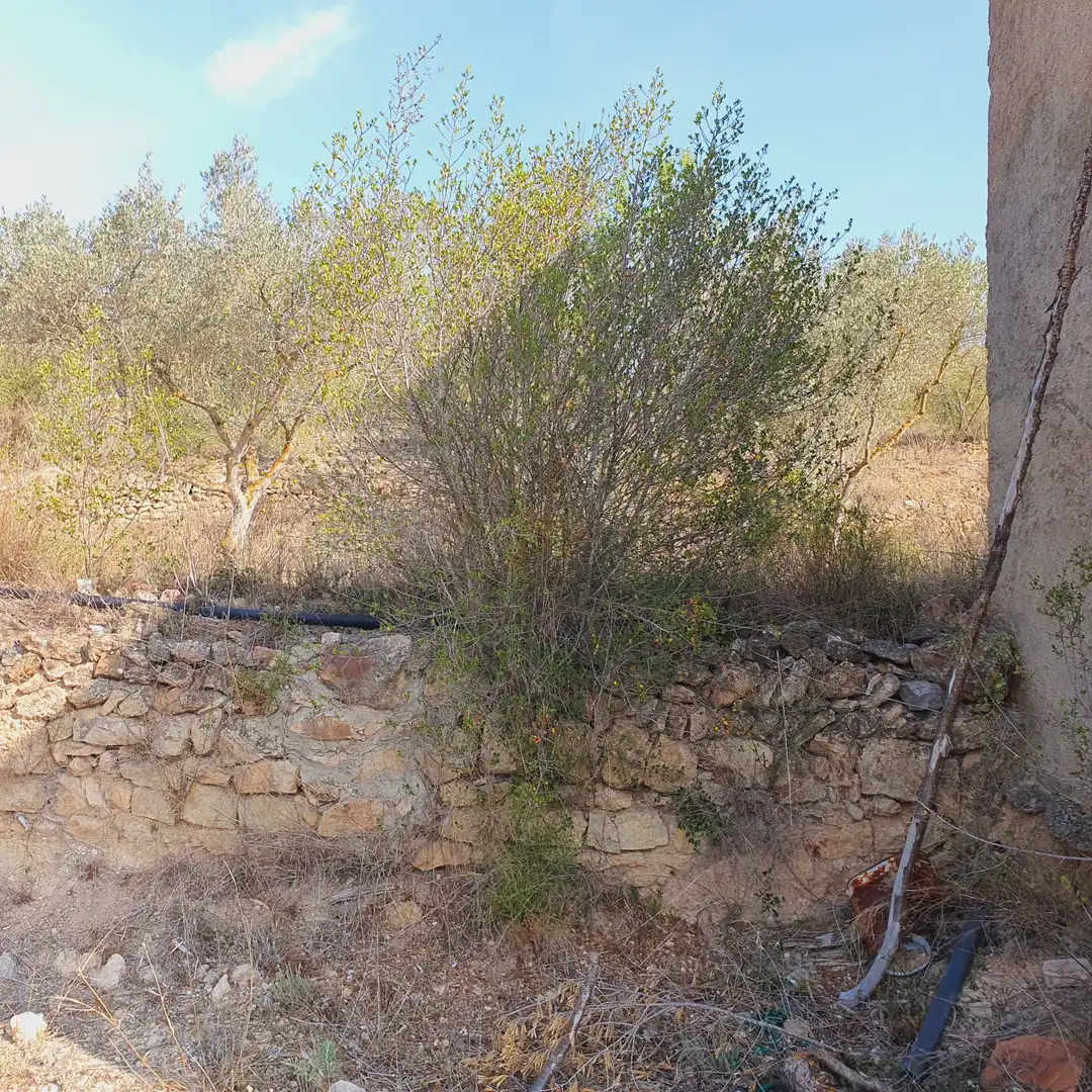 Rustikales Grundstück zum Verkauf in El Pinell de Brai, imagen 30