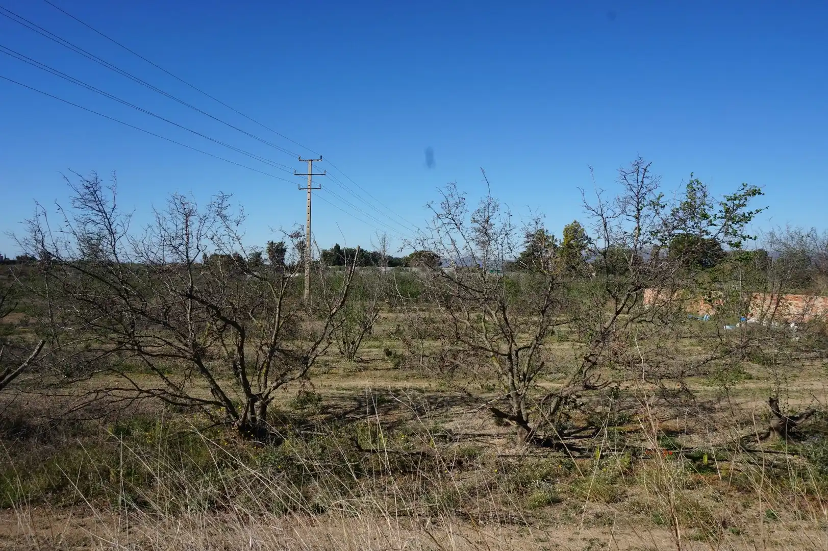 Terrenys i solars en venda a Planes del Roquis, imagen 4
