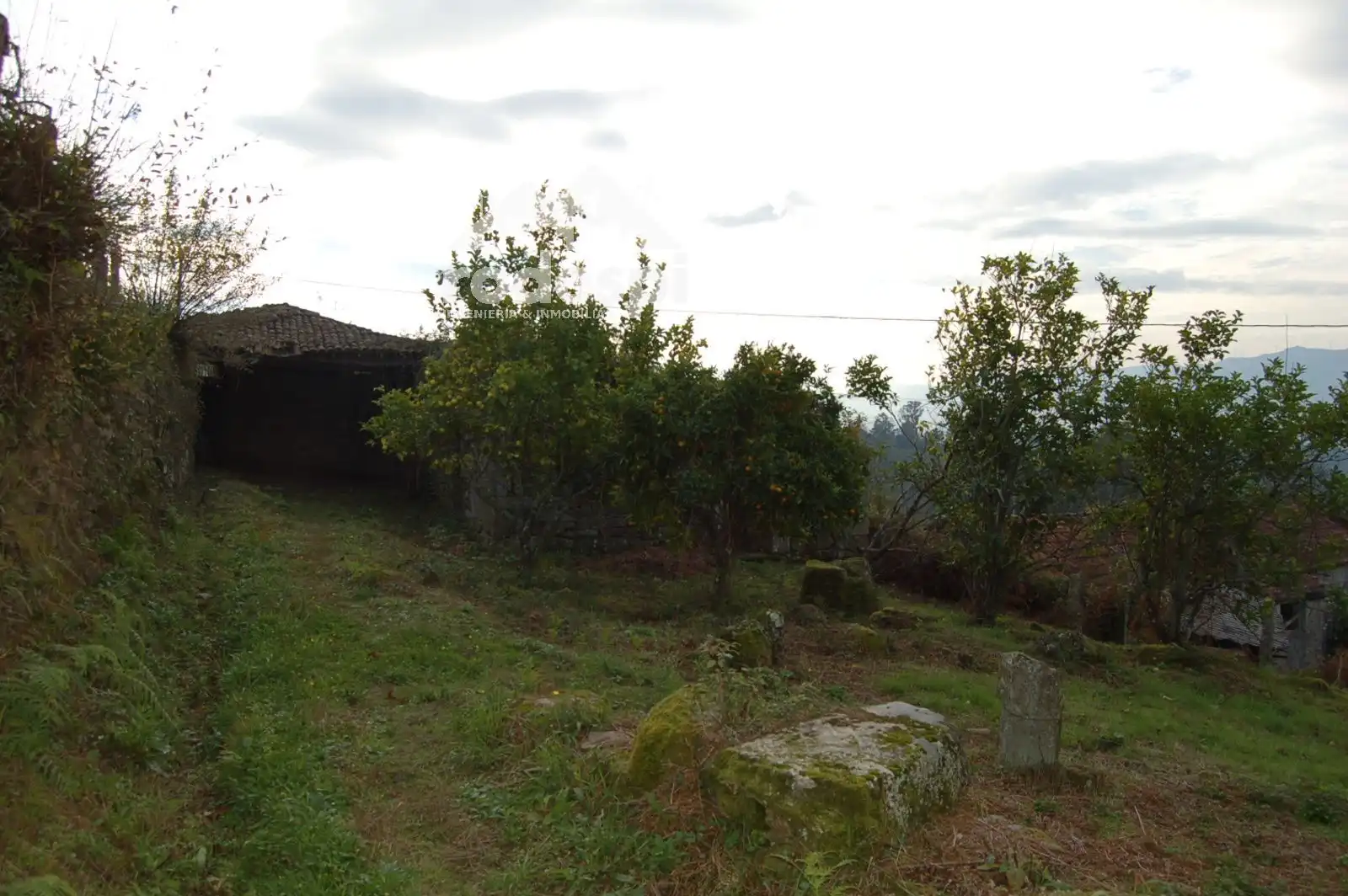 Terrain rustique à vendre à As Neves, imagen 3