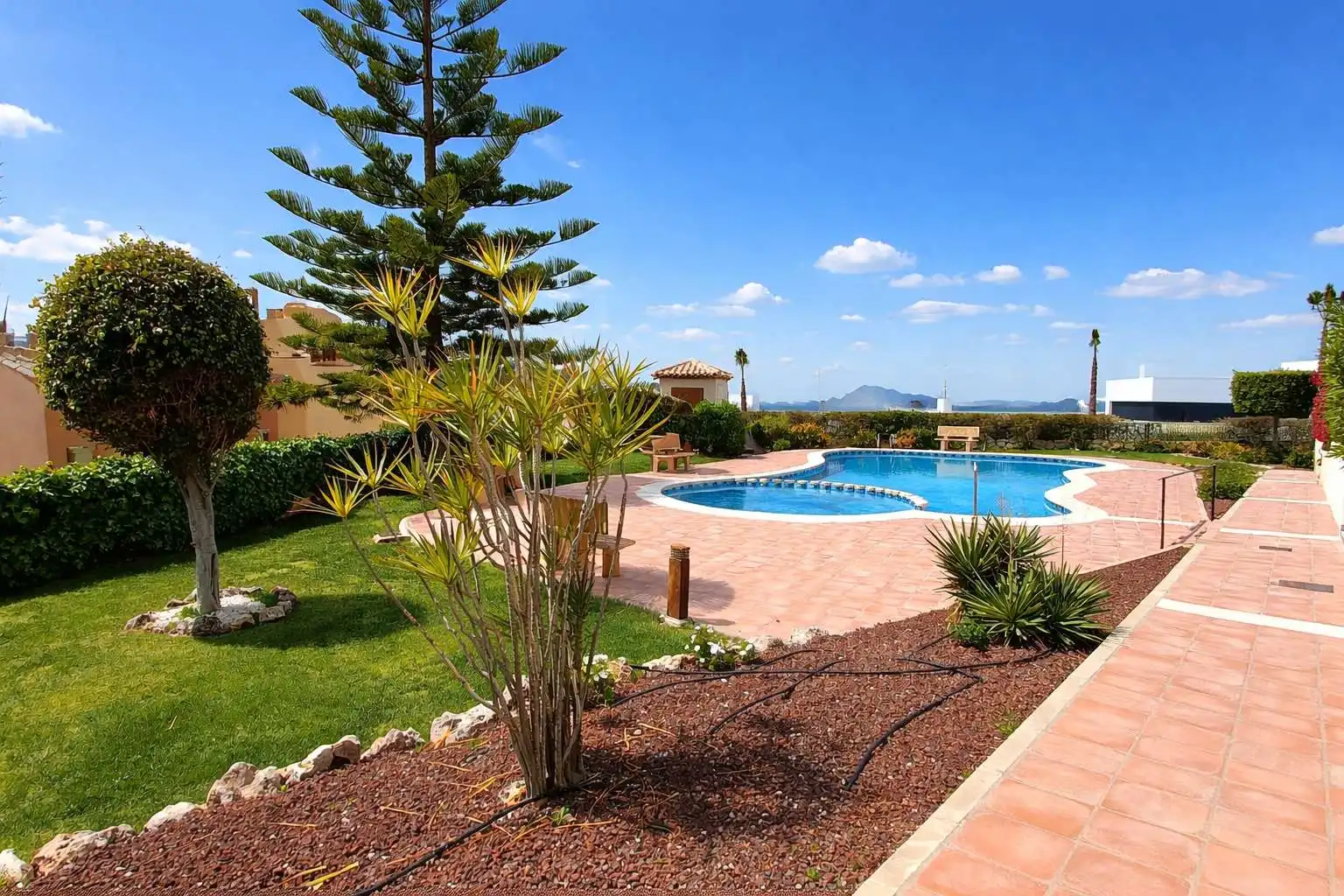 Appartement compact avec terrasse à vendre à Algorfa, imagen 3