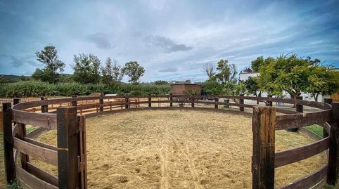 Foto 3 de Finca rústica en venta en San Roque Pueblo, San Roque