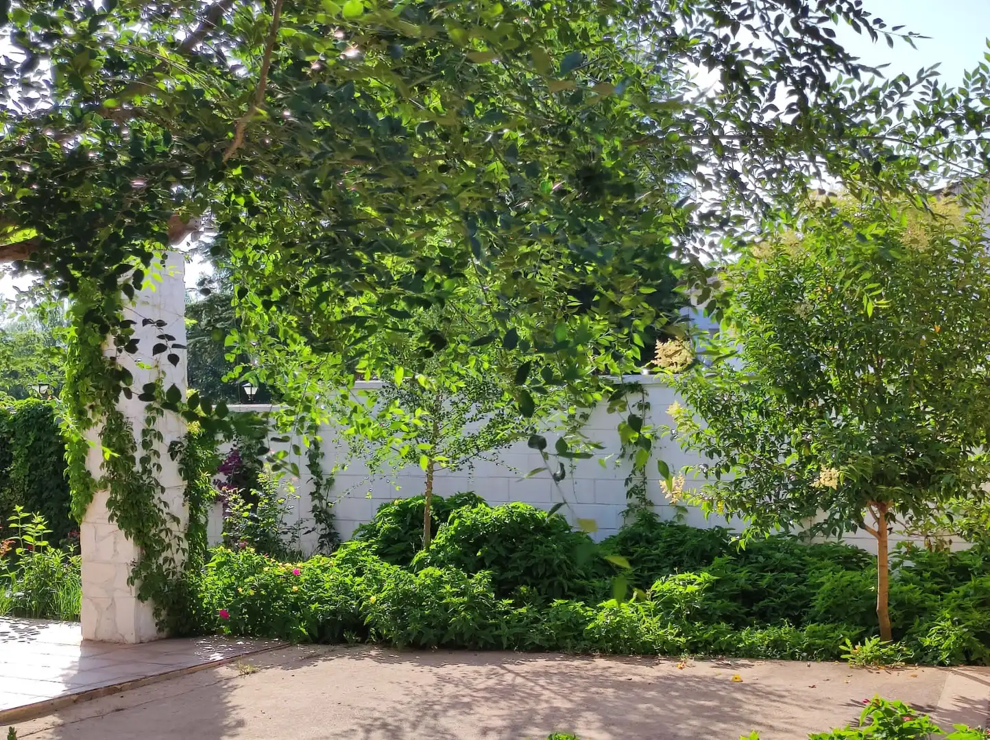 Jardín de Casa o chalet en venta en Ciudad Real con Aire acondicionado, Calefacción y Jardín privado