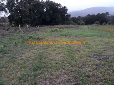 Terreni e lotti in vendita a Tomiño
