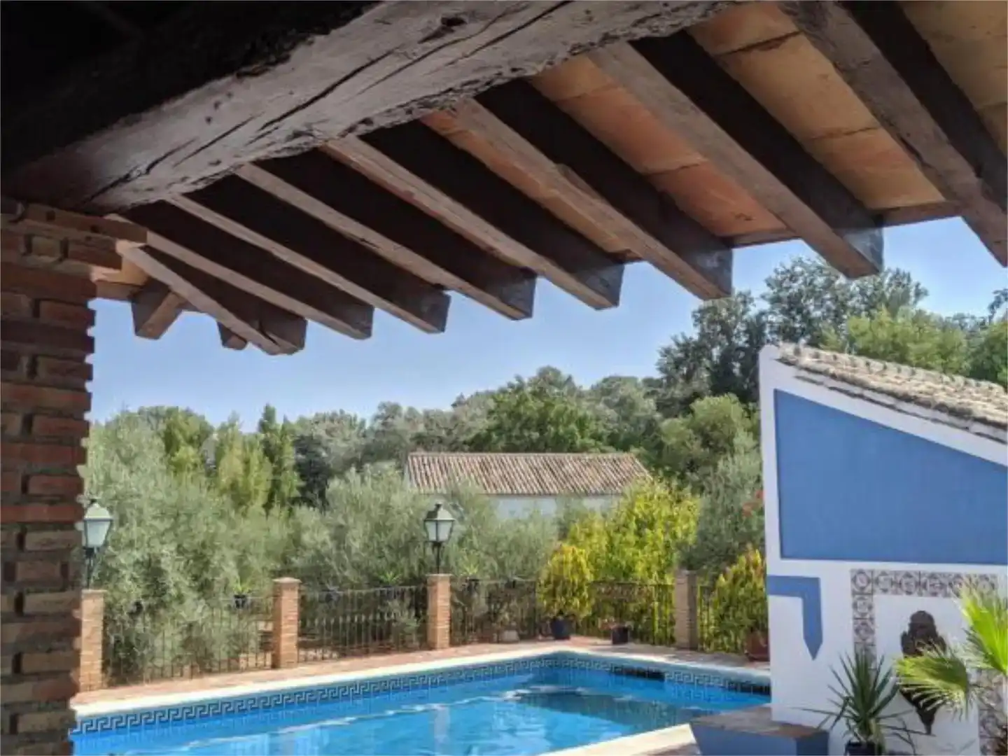 Jardín de Casa o chalet en venta en Baena con Piscina