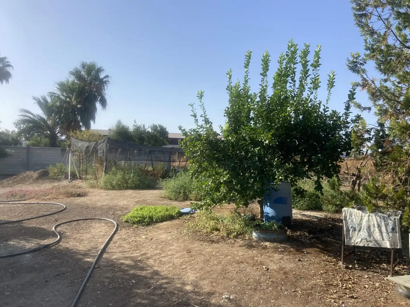 Maison rustique avec piscine à vendre à EUCALIPTUS-AMIGOS, imagen 23