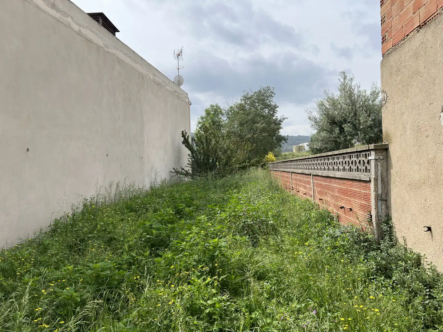 Rural land for sale in Centelles - Rabal  Falgueras 14, imagen 5